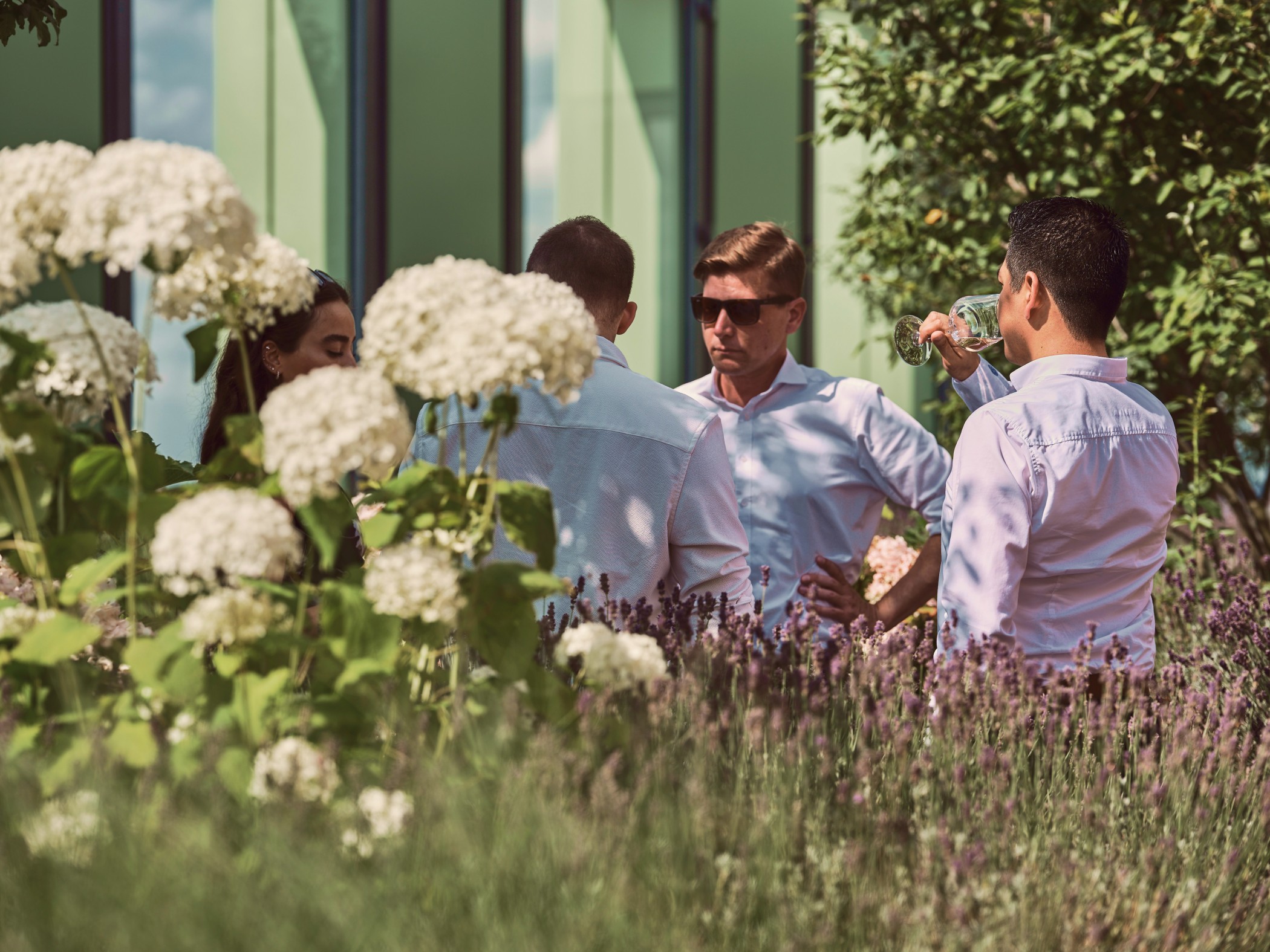 Personengruppe im Gespräch zwischen üppigen Lavendel- und Hortensienpflanzen auf der begrünten Dachterrasse des WIN WIN im Medienhafen Düsseldorf.
