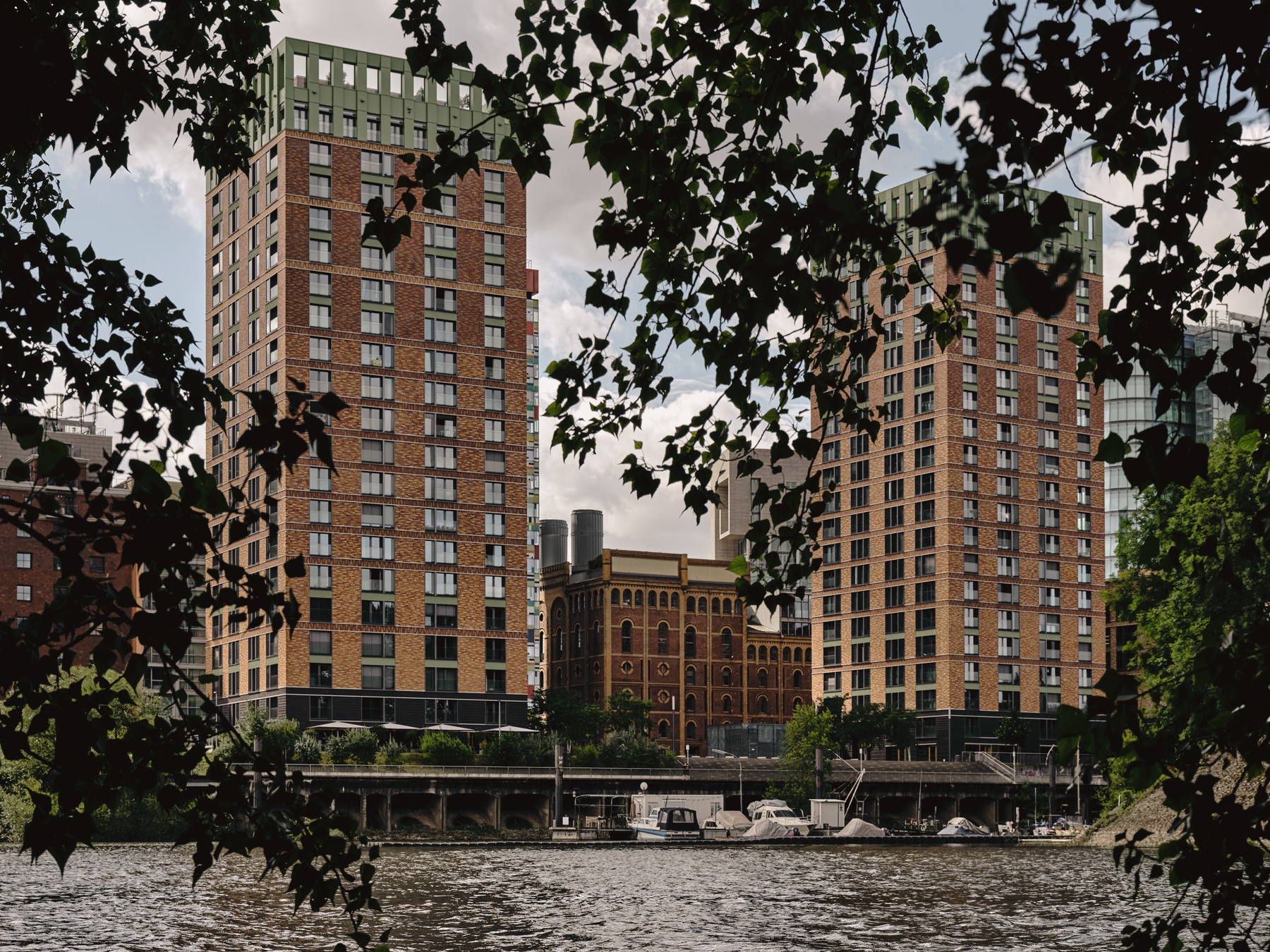 WIN WIN Türme im Medienhafen Düsseldorf, gesehen durch einen natürlichen Rahmen aus belaubten Ästen.