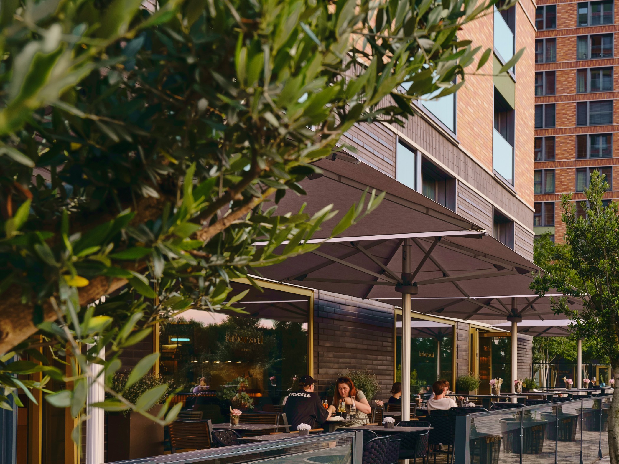 Moderne Außengastronomie mit Olivenbäumen im WIN WIN im Medienhafen Düsseldorf