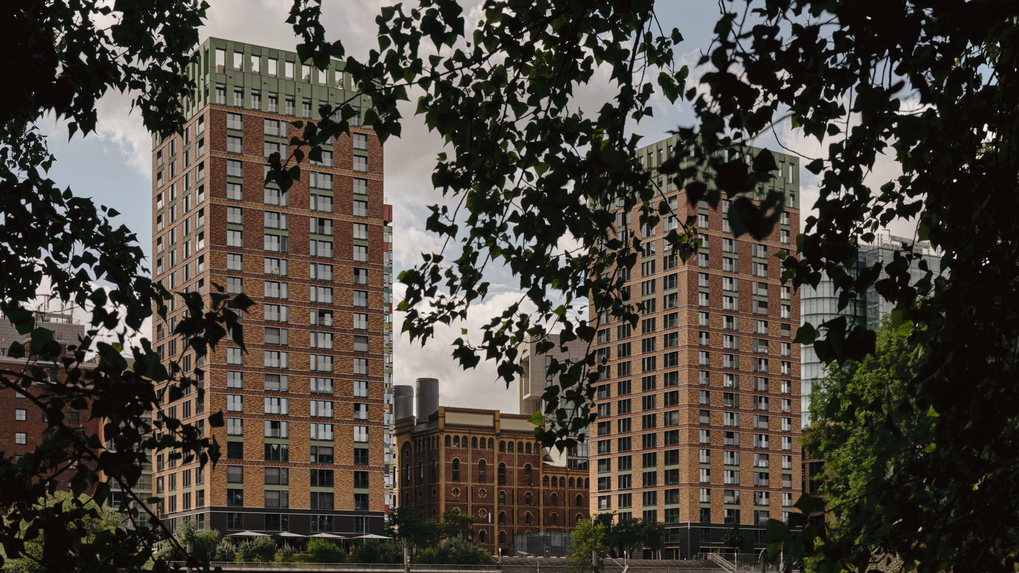 WIN WIN Türme im Medienhafen Düsseldorf, gesehen durch einen natürlichen Rahmen aus belaubten Ästen.