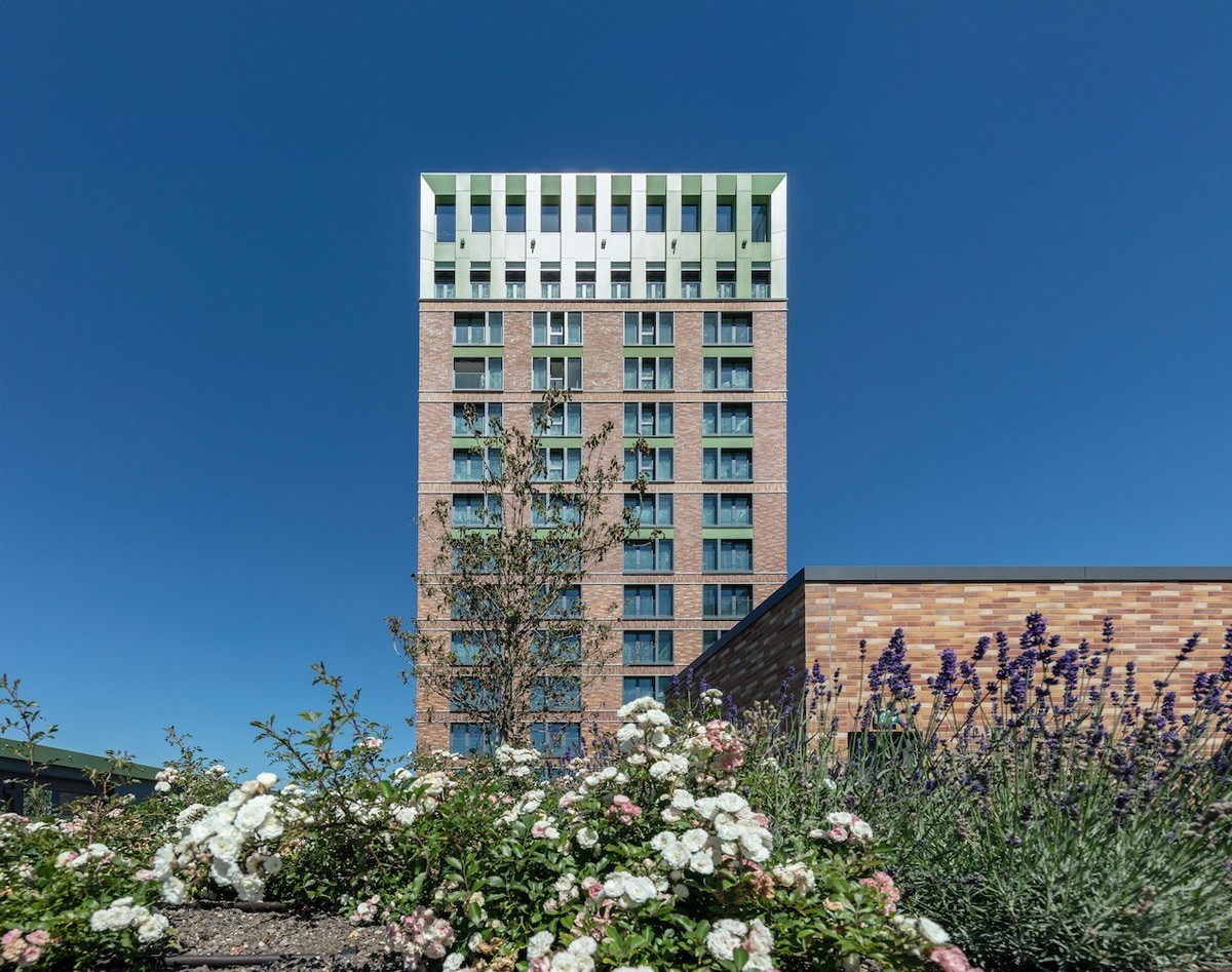 WIN WIN Turm im Medienhafen Düsseldorf mit blühenden Dachgartenpflanzen im Vordergrund und klarem Himmel.
