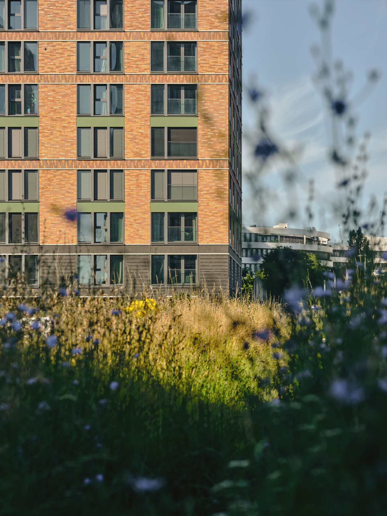 Backsteinfassade eines WIN WIN Turms hinter Wildblumen und Gräsern im Gegenlicht