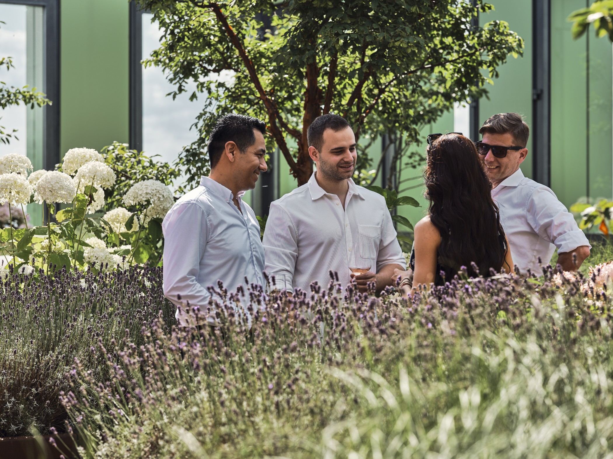 Personengruppe im Gespräch zwischen üppigen Lavendel- und Hortensienpflanzen auf der begrünten Dachterrasse des WIN WIN im Medienhafen Düsseldorf.