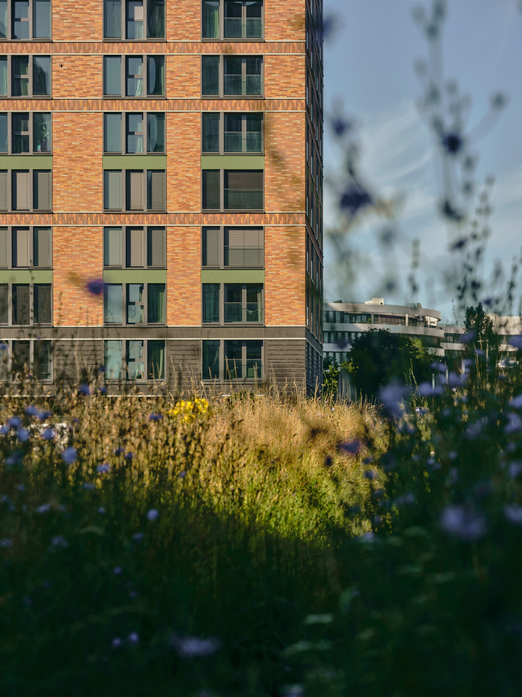 Fassadenansicht eines WIN WIN Turms im Medienhafen Düsseldorf mit Blick über die vorgelagerte Natur- und Wiesenfläche.